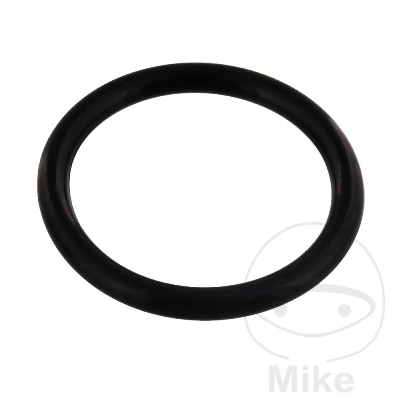 Timing chain tensioner gasket 2.9 X 23.7 MM OEM 734.34.92