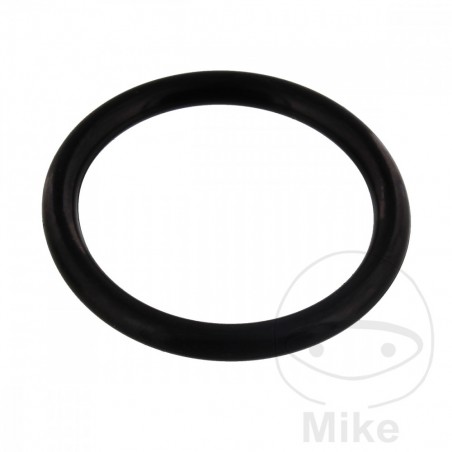 Timing chain tensioner gasket 2.9 X 23.7 MM OEM 734.34.92