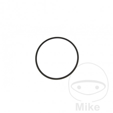 gasket for thermostat 2 X 47.5 MM OEM 734.40.82