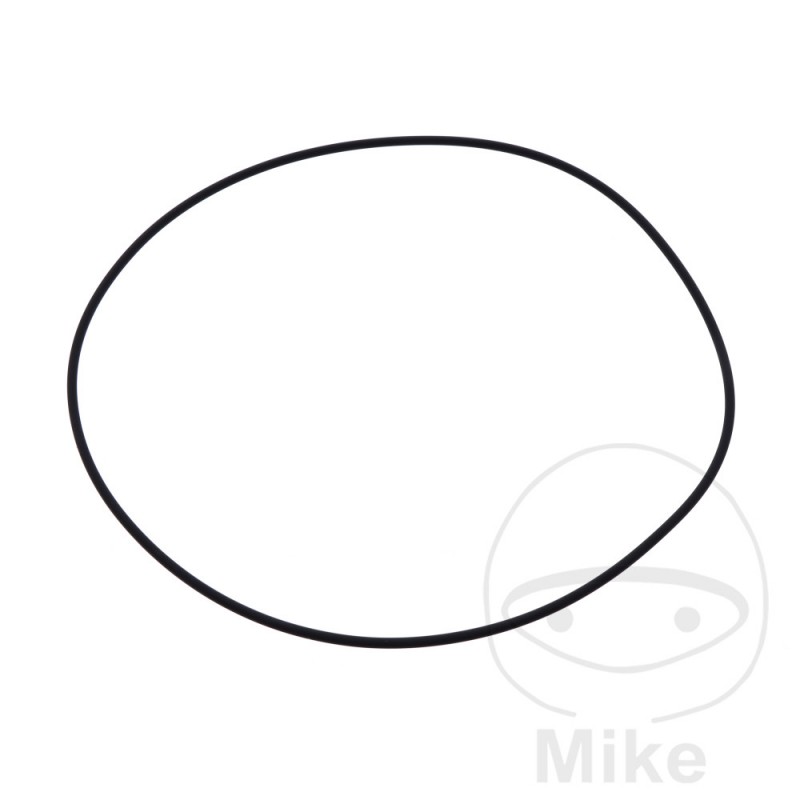 ATHENA O-ring for cylinder tube 2 X 120 MM 734.41.85