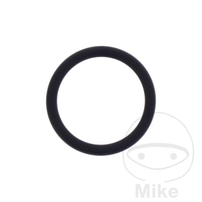 ATHENA Timing chain tensioner gasket 2.62 X 20.63 MM 734.42.44