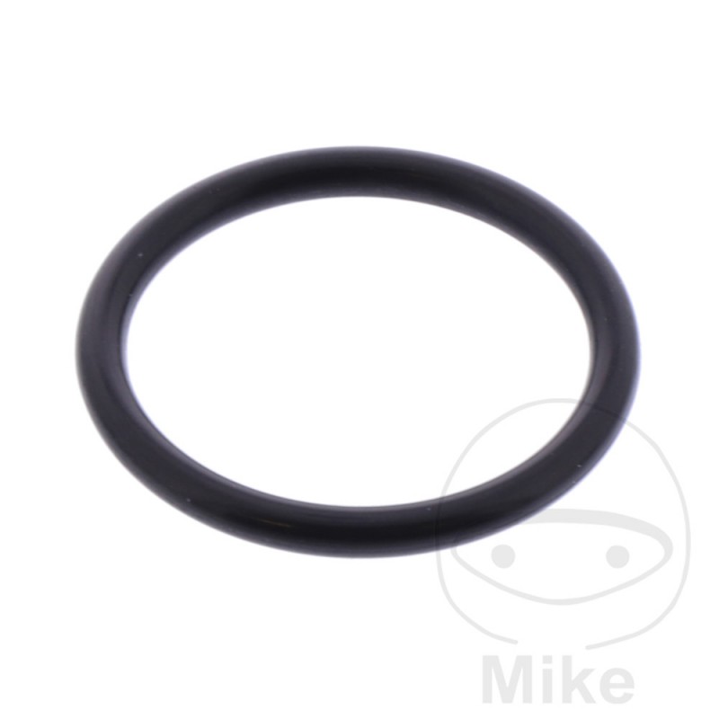 ATHENA Timing chain tensioner gasket 2 X 18 MM 734.42.46