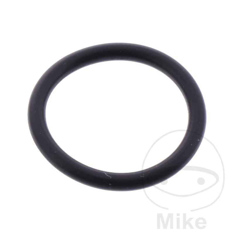 ATHENA boot cover gasket 2.5 X 19 MM 734.44.55