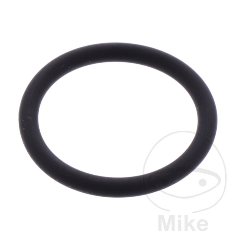 ATHENA starter motor gasket 2.62 X 20.64 MM 734.44.83