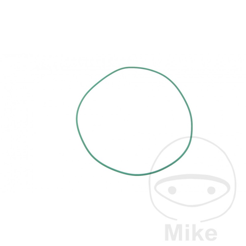 Clutch cover gasket 2.62 X 167.5 MM OEM 734.48.83