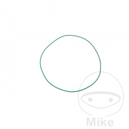 Clutch cover gasket 2.62 X 167.5 MM OEM 734.48.83