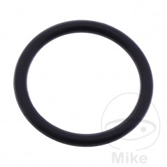 ATHENA Gasoline tap gasket 2 X 19 MM 734.62.41
