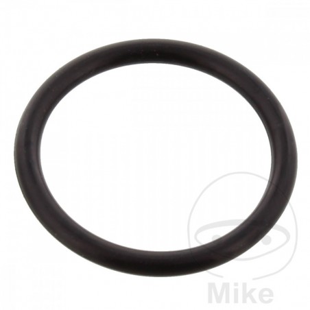 JMP Timing chain tensioner gasket 2.5 X 22 MM 734.66.35