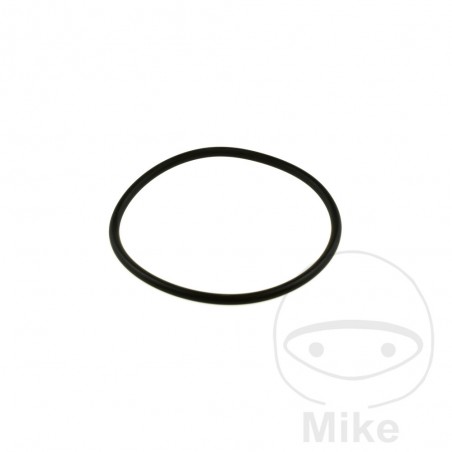 O-RING SEAL 3 X 59 MM 734.71.93