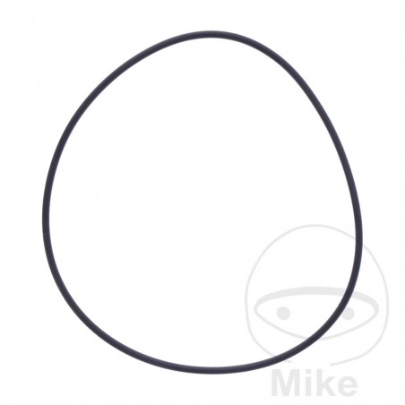 Junta bomba de agua OEM 734.74.99