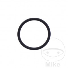 Timing chain tensioner gasket 1.8X18.7 MM OEM 734.75.56