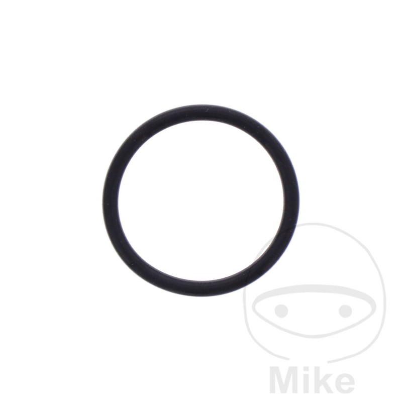 Timing chain tensioner gasket 1.8X18.7 MM OEM 734.75.56