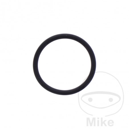 Timing chain tensioner gasket 1.8X18.7 MM OEM 734.75.56