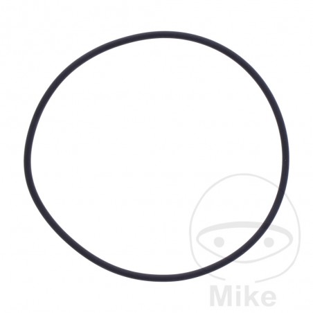 ATHENA Valve cover gasket 2 X 67 MM 734.75.61