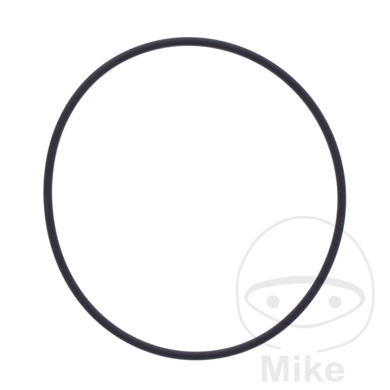 ATHENA water pump gasket 2 X 65 MM 734.75.79