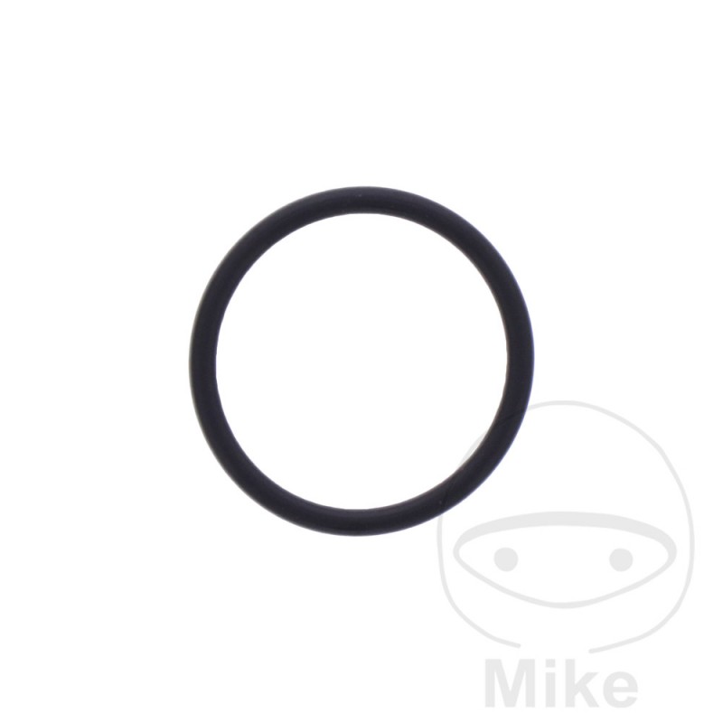 ATHENA Timing chain tensioner gasket 1.78X18.77 MM 734.77.97