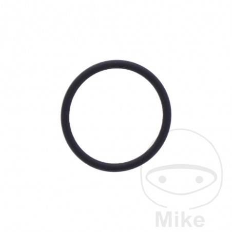 ATHENA Junta tensor cadena de distribución 1.78X18.77 MM 734.77.97