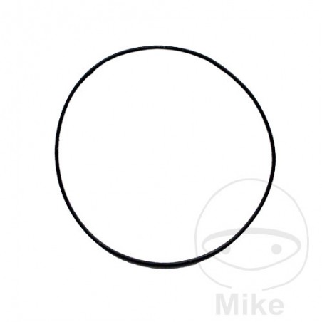 ATHENA Ignition cover gasket 2 X 100 MM 735.52.33