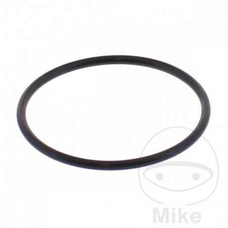 KAYABA Shock Absorber Free Piston Gasket 2.5 X 48 MM 773.06.35