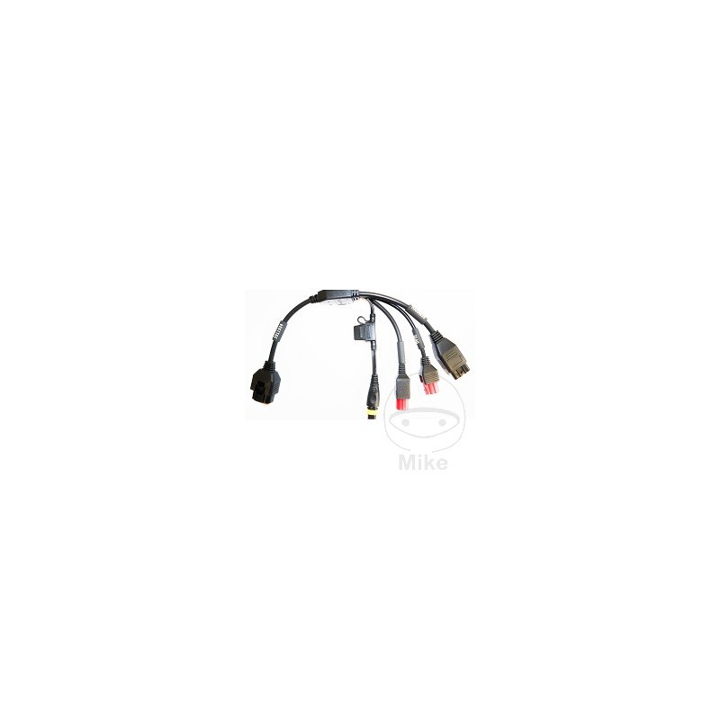 TEXA Cable adaptador para diagnosis UNIDAD DE CONTROL ELECTRÓNICO MOTO 668.06.59