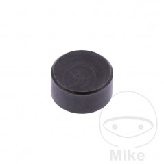 Regulating valves SHIM 10 MM 2.95 OEM 747.18.31