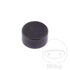 Regulating valves SHIM 10 MM 3.10 OEM 747.18.34
