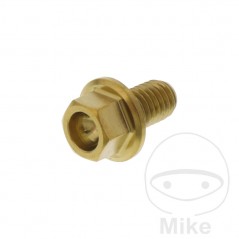 JMP Tornillo acero cabeza hexagonal M6X1.00 MM V4A 775.31.81VAR
