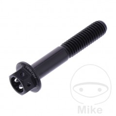 JMP Tornillo aluminio cabeza hexagonal M6X1.00 MM RACING 775.31.99VAR