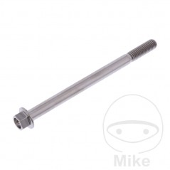 JMP Titanium hex head screw M6X1.00 MM 775.43.68VAR