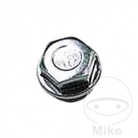 Lambda probe locking screw 360.99.71