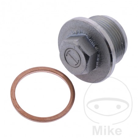 ELRING Tornillo de drenaje aceite MQ 3820419 355.13.99