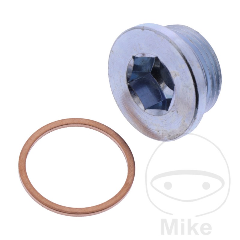 ELRING Tornillo de drenaje aceite con junta MQ 3822219 356.24.37