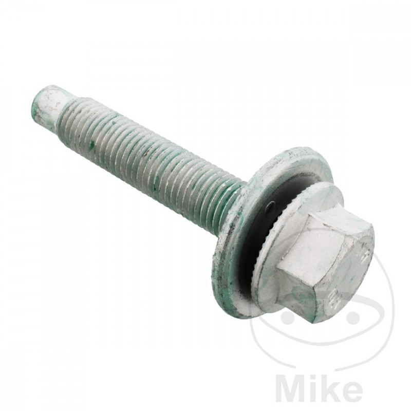 A.I.C. Screw for shaft body 382.61.20