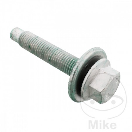 A.I.C. Tornillo para cuerpo del eje 382.61.20