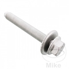 A.I.C. Screw for shaft body 382.61.87
