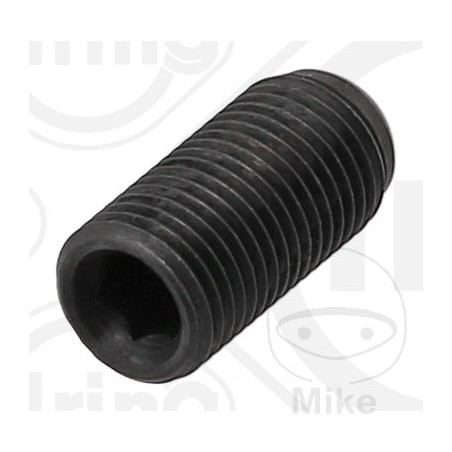 ELRING Adjusting screw with ball cap M12X1.25 MM 453.02.77