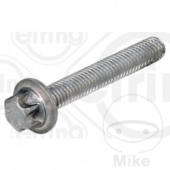 ELRING Oil pan bolt M6X40 MM 453.02.78