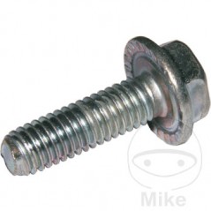 DRESSELHAUS Pack 50 tornillos de bloqueo 6 479.00.44VAR