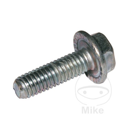 DRESSELHAUS Pack 50 tornillos de bloqueo 6 479.00.44VAR