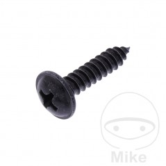 JMP Pack 10 tornillos de chapa con collar 4.2 479.00.95VAR