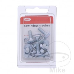 JMP Pack 10 galvanized screws 4.8 M5 479.01.54VAR