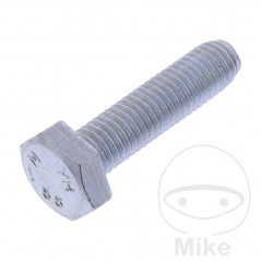 JMP Pack of 2 hexagonal screws 8.8 M10X40 MM 479.01.60