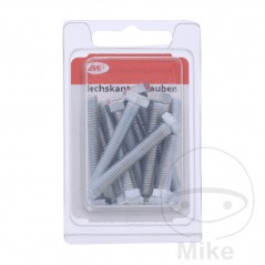 JMP Pack of 10 hexagonal screws 8.8 M6 479.01.71VAR