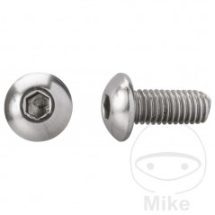 DRESSELHAUS Pack of 200 semi-round head screws A2 M6X40 MM ISO 7380-2 479.02.00
