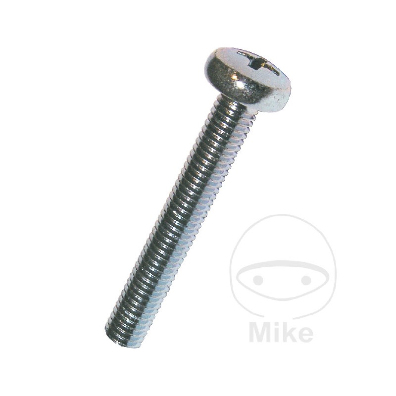 DRESSELHAUS Pack 100 tornillos con cabeza alomada M6 7985 482.11.38VAR