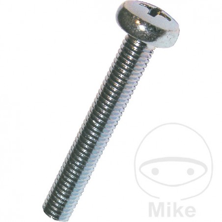 DRESSELHAUS Pack of 100 pan head screws M6 7985 482.11.38VAR