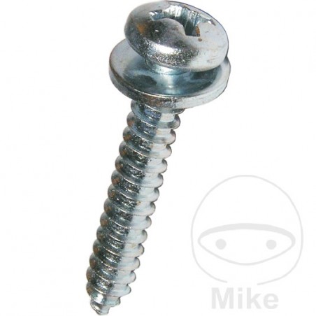 DRESSELHAUS Pack of 100 sheet metal screws 5.5 484.20.50VAR