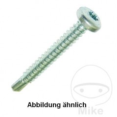 DRESSELHAUS Pack 100 drilling screws 4.8 7504M TORX 480.07.93VAR