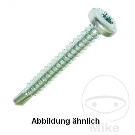 DRESSELHAUS Pack 100 drilling screws 4.8 7504M TORX 480.07.93VAR