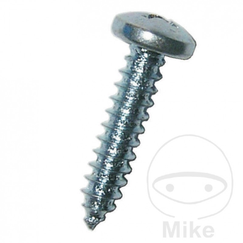 DRESSELHAUS Pack of 100 sheet metal screws 4.8 7981 483.92.54VAR